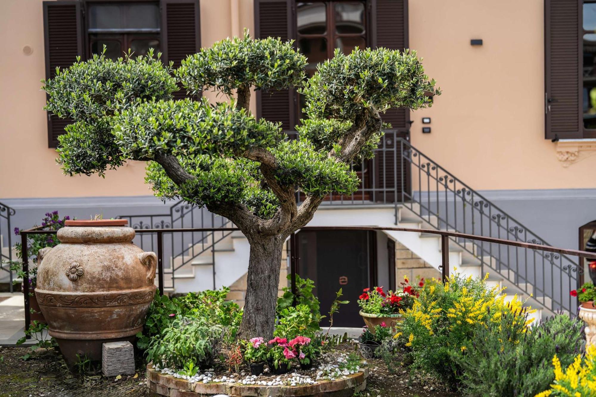 Villa Agostino Luxury B&B Vico Equense Dış mekan fotoğraf